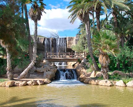 Parque El Palmeral