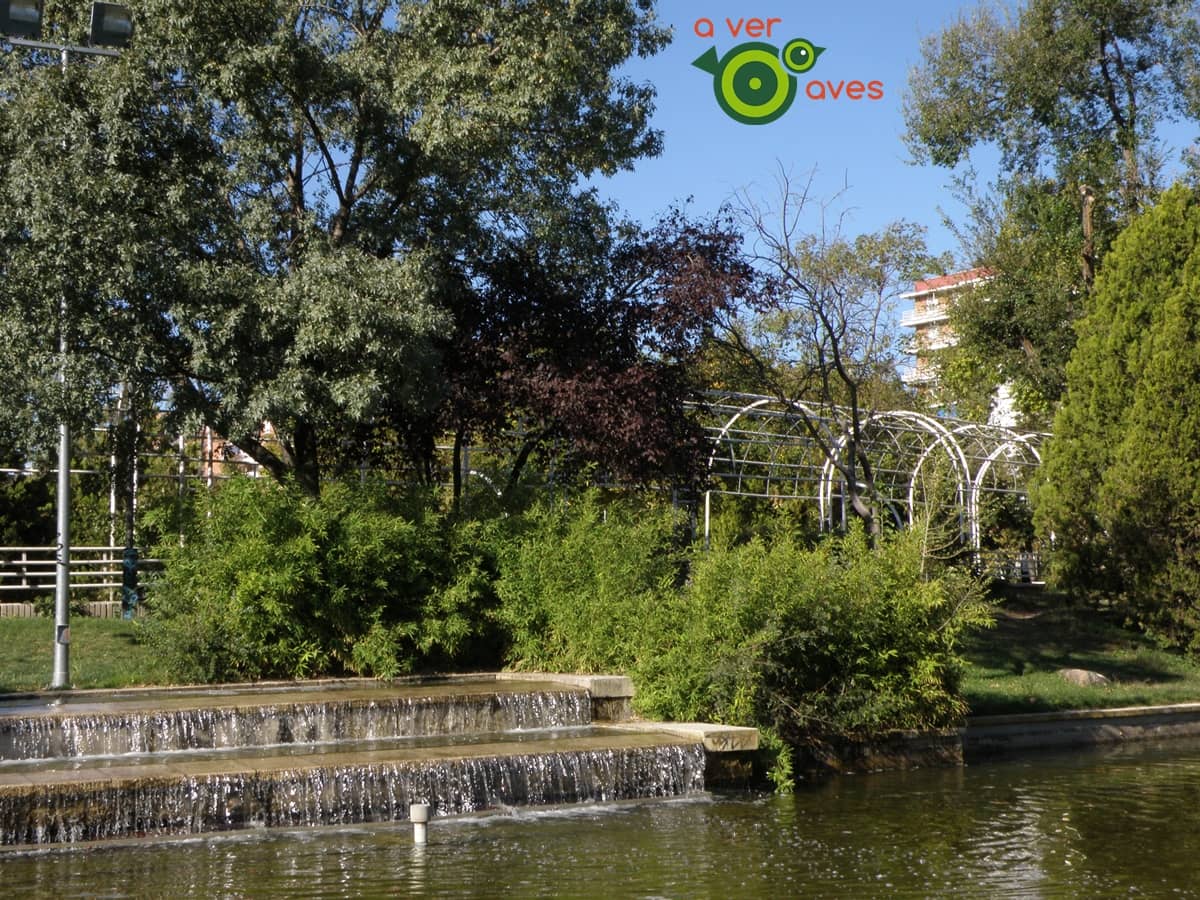 Parque de La Paz