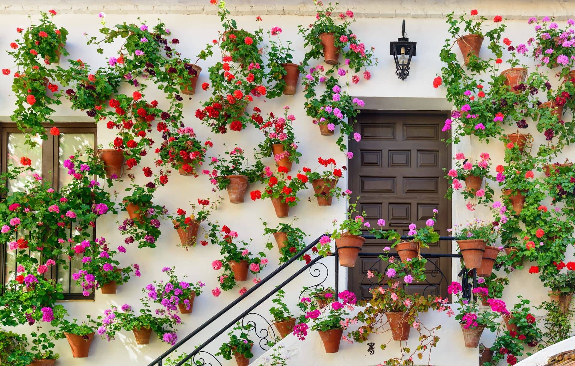 Patios Cordobeses