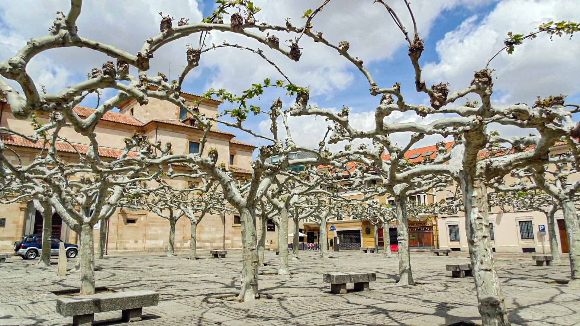 Plaza Viriato