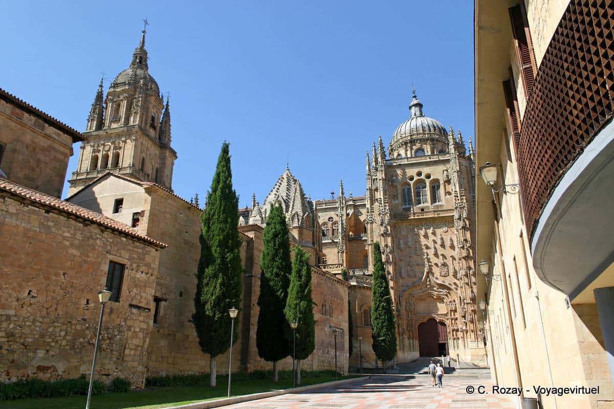 ¡¡Mucho que celebrar!! Lo que el mundo le debe a Salamanca