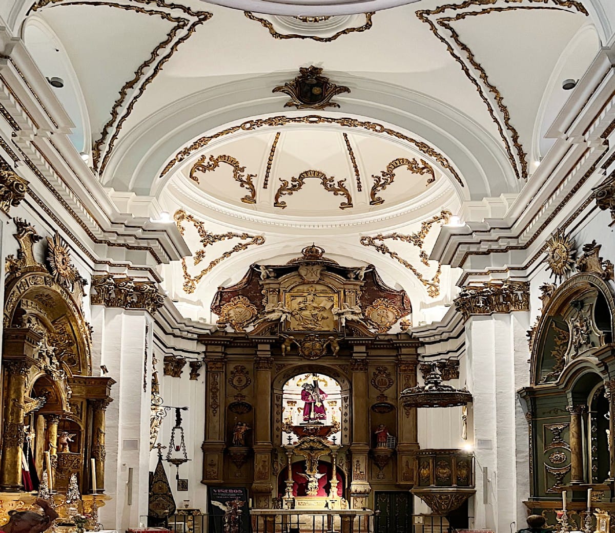 Procesión de la Hermandad de Viñeros