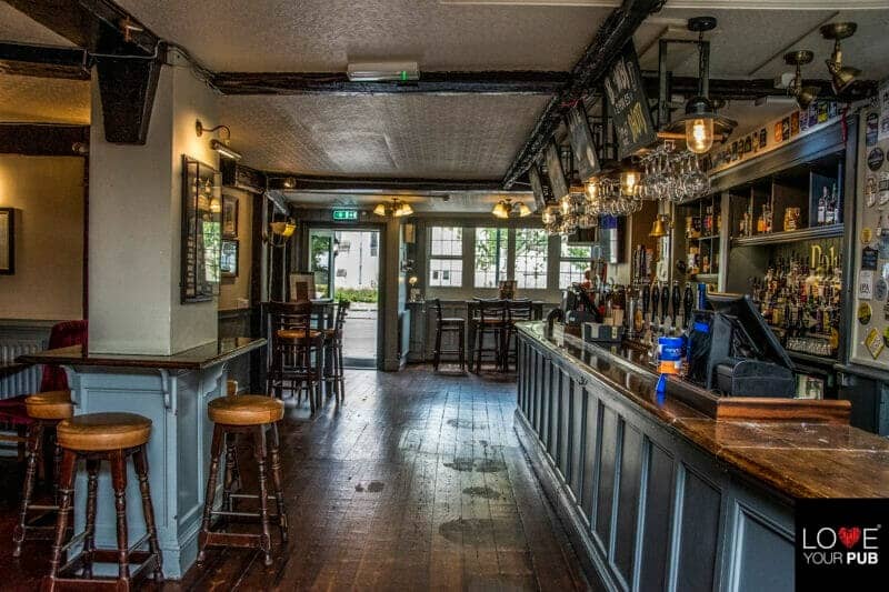 The Dolphin