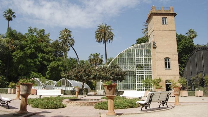 Visitas guiadas por el Jardín Botánico