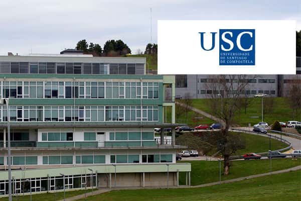 Curso de Primavera Anatomía dos festivais galegos