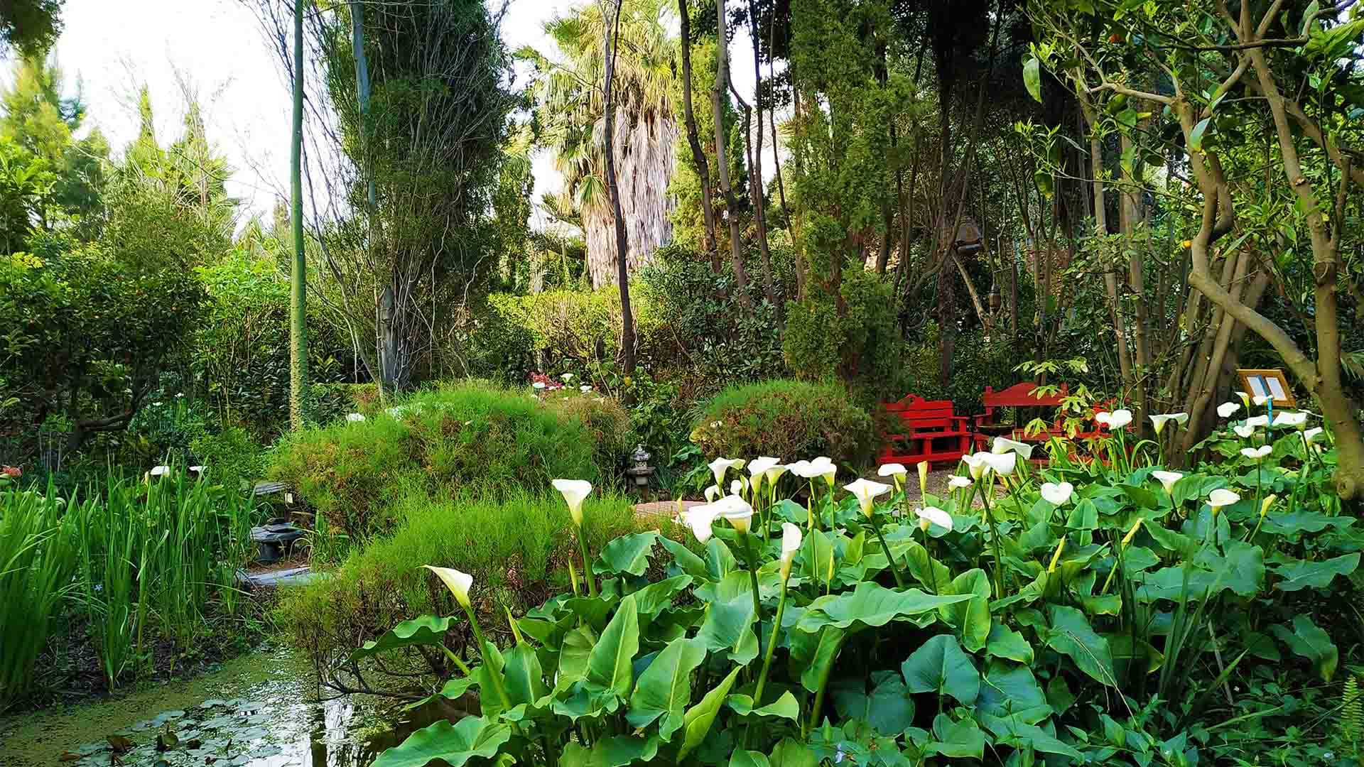 Jardín Botánico La Almunya del Sur