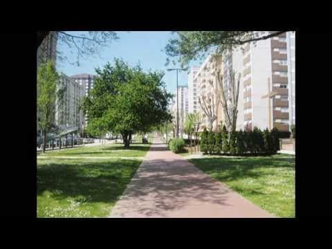 Fiestas de la Consolación