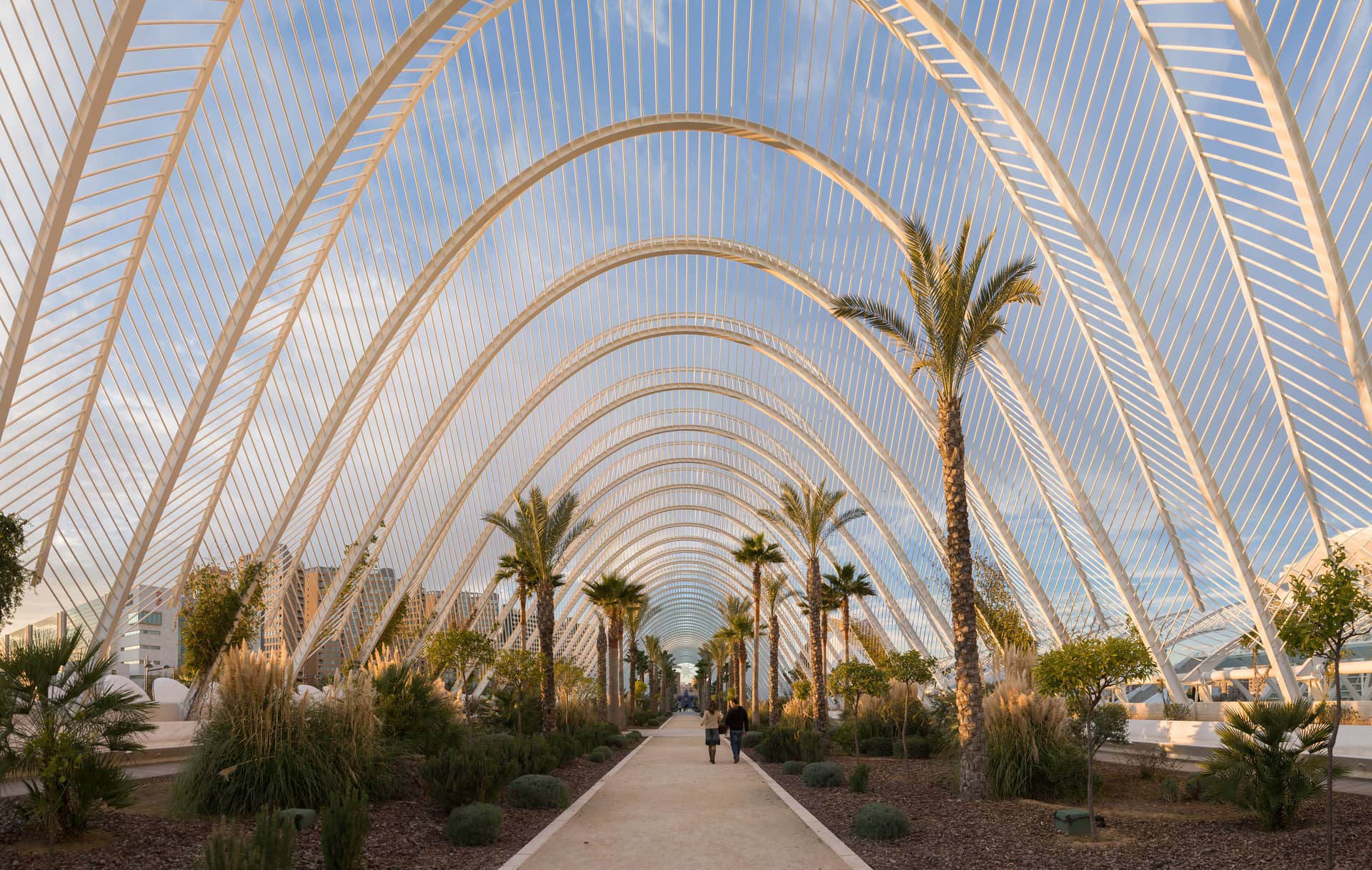 L’Umbracle