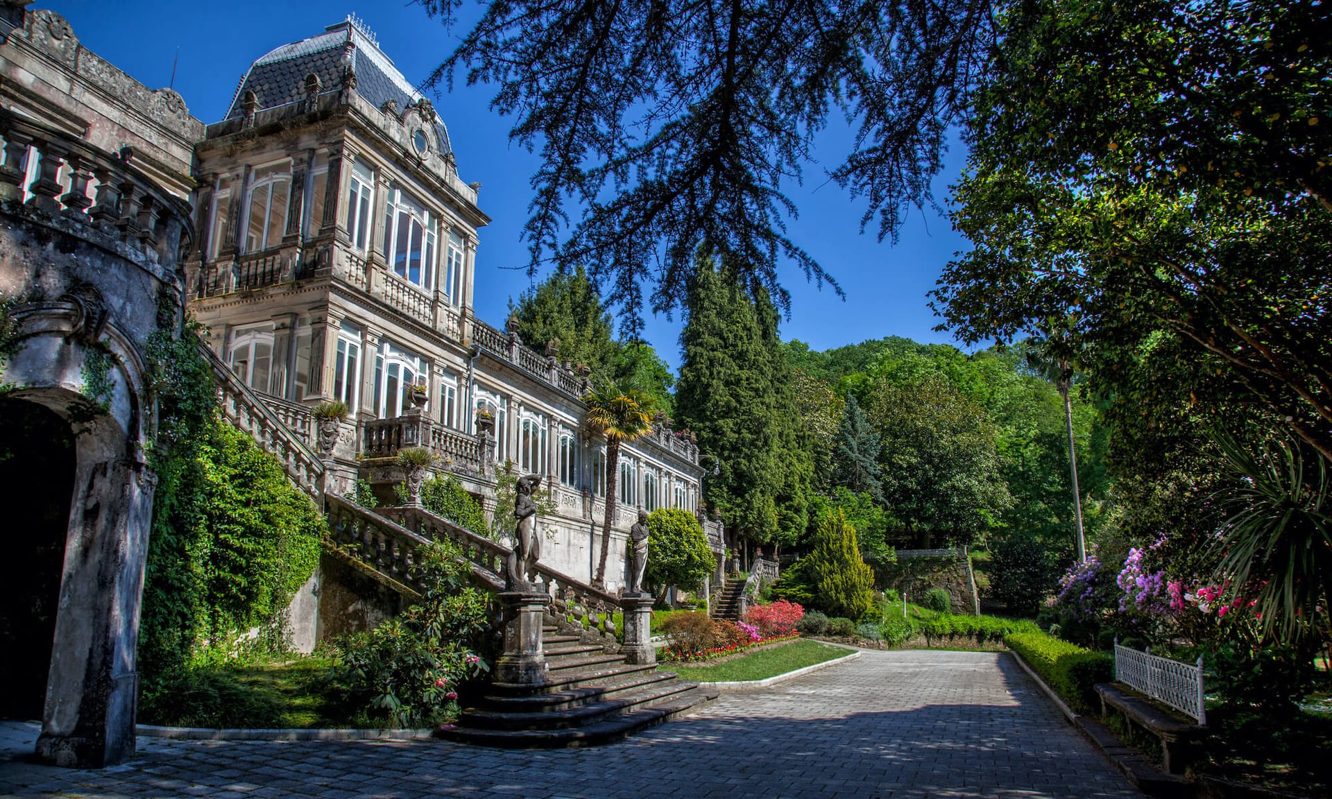 Programa '+Bosques' de la Diputación de Pontevedra