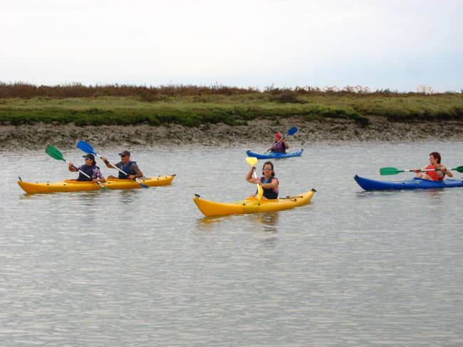 CEAAN Coto de la Isleta