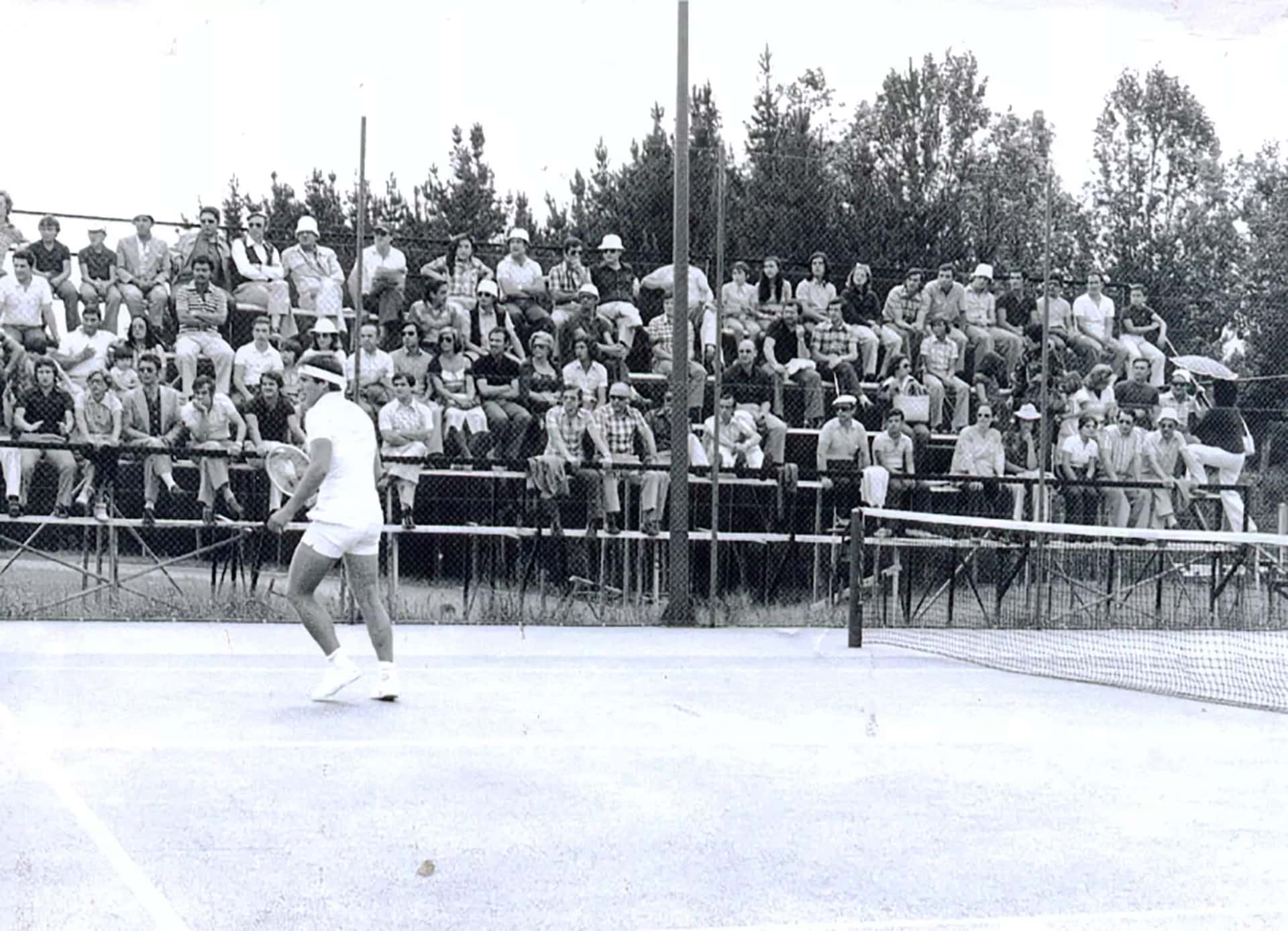Copa Diputación de tenis y pickleball