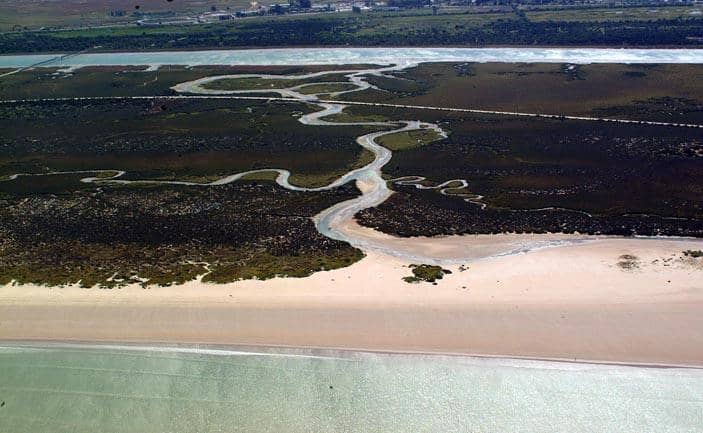 Playa de Levante (Valdelagrana)