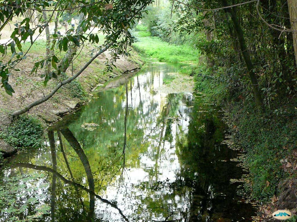 Visitas guiadas por el Gafos y la Xunqueira
