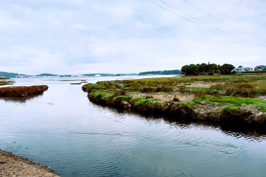 Estuario del río Lérez e Intermareal Combarro-Lourido