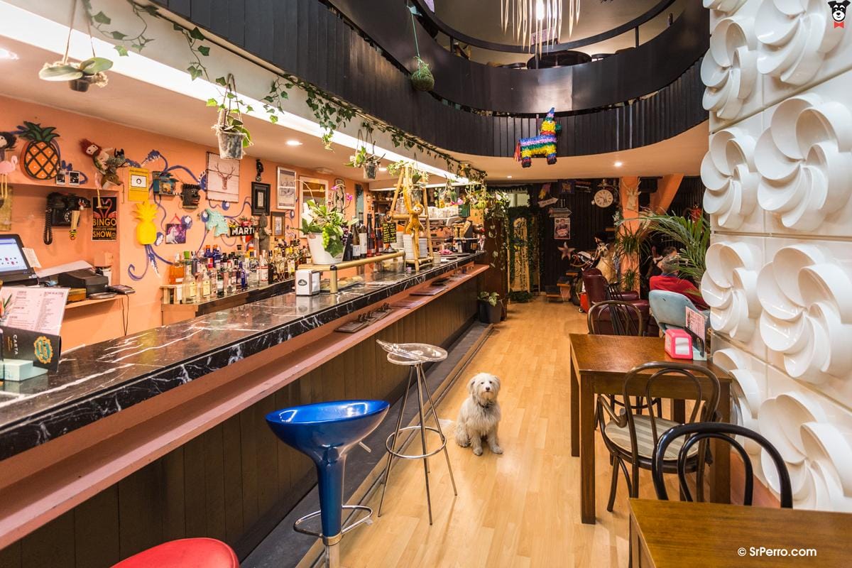 Trivial El Mono Vintage