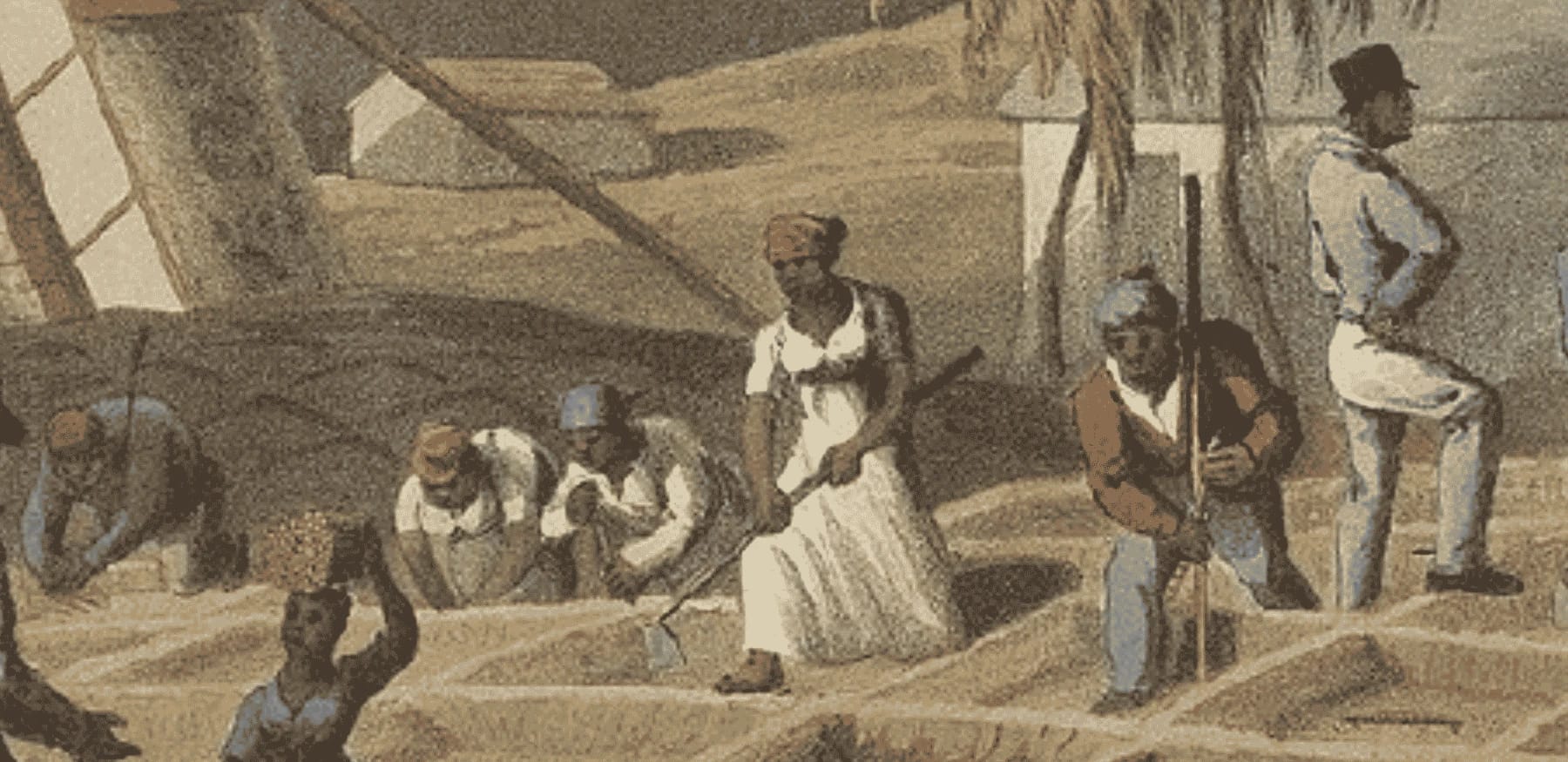 The Unnatural Trade: Slavery, Abolition and Environmental Writing