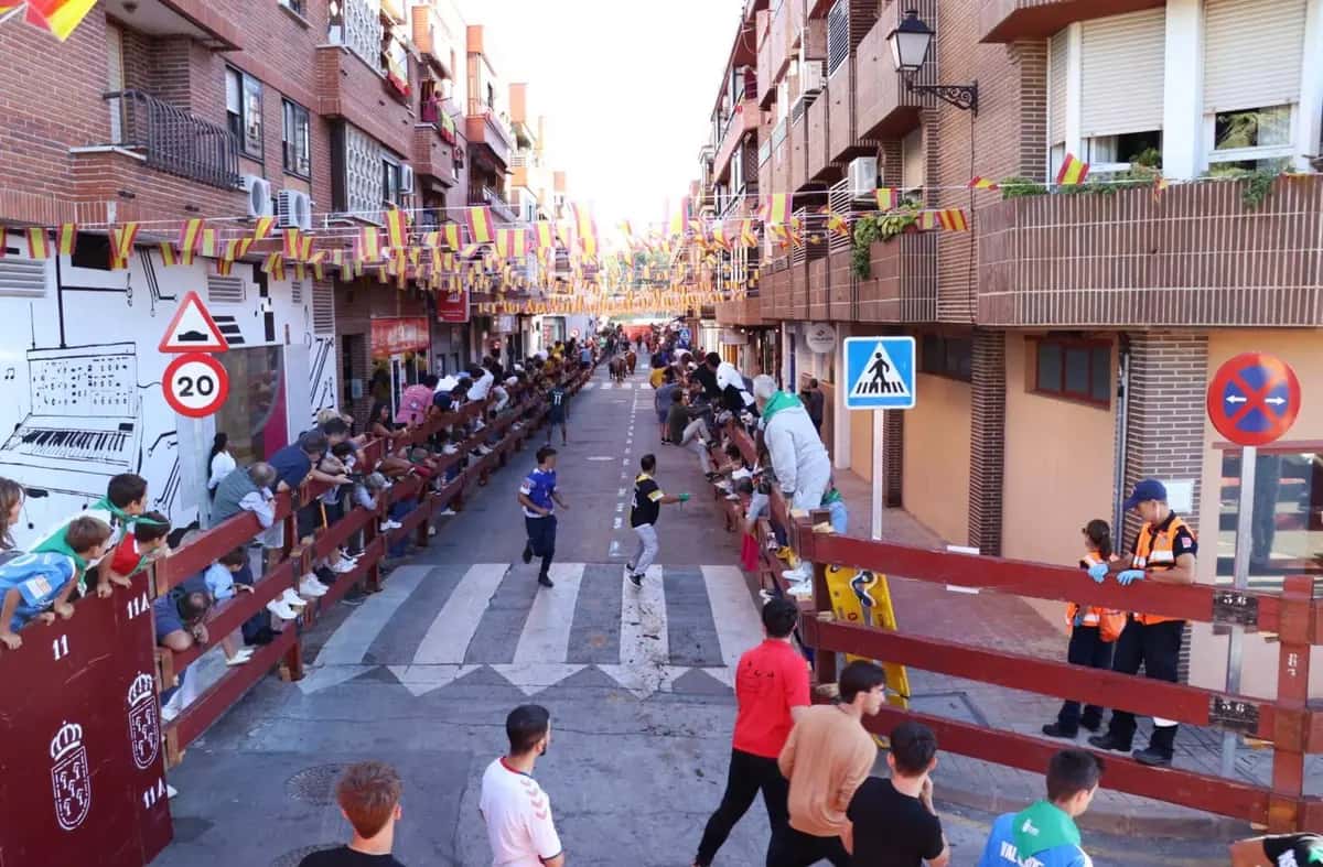 Encierros de las fiestas patronales de Boadilla del Monte